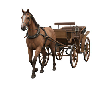 Horse and carriage