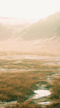 A wide view shows a wetland area with patches of water and grass. The background features mountains shrouded in mist. The scene captures a quiet, natural landscape in the daytime.