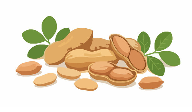 Create a premium realistic vector illustration of fresh peanuts isolated on a solid white background. Arrange several whole peanuts in textured shells, a few opened shells revealing the peanut kernels