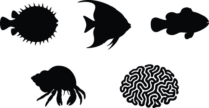 Angelfish swimming near brain coral reef and hermit crab silhouette graphic elements vector illustration