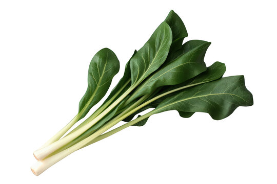 Fresh green leafy vegetable bunch, silverbeet chard, providing essential nutrients for a healthy lifestyle, with a transparent background