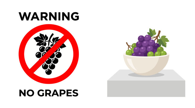 Warning sign indicating no grapes allowed next to a bowl of purple and green grapes