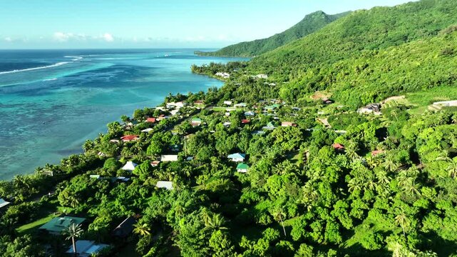 Hillside village homes dot lush green Moorea mountainside overlooking turquoise coral reef lagoon, tropical vegetation surrounding scattered rooftops near quiet shoreline. Aerial drone wide shot.