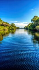 Fototapeta premium Serene Florida river landscape with dark blue water and soft waves