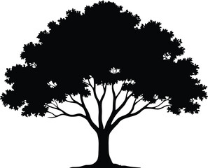 Fototapeta premium Elegant Broadleaf Tree Silhouette Vector Illustration Isolated on White Background for Nature Landscape Branding Logo Design Creative Projects