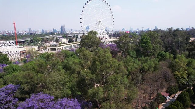Drone flies above blooming jacaranda trees in Chapultepec Park, ending at the Aztl&aacute;n Ferris wheel with panoramic views of Mexico City on a bright spring day.
