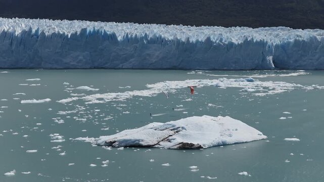 Two kitesurfers glide across Lago Argentino before the towering Perito Moreno Glacier in Los Glaciares National Park, Santa Cruz, Patagonia, Argentina, among floating icebergs, drone pullback.