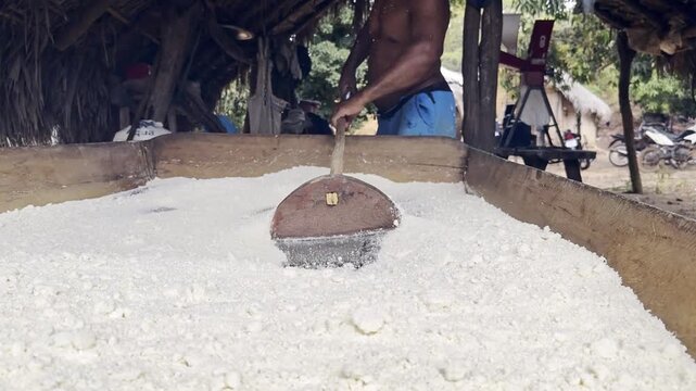 Authentic Raw Brazilian Cassava, Seasonal Harvest, Healthy Natural Diets, Slow Motion, Close-up