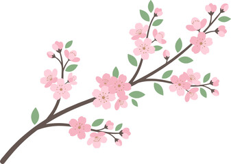 Fototapeta premium Pink cherry blossom branch with green leaves