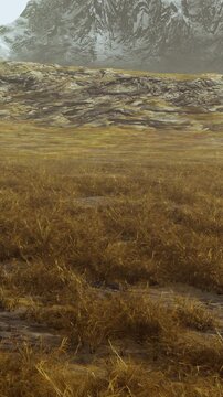 A wide view of open fields filled with tall grass stretches out under an overcast sky. In the distance, mountains rise with rocky surfaces, creating a natural scene of the outdoors.