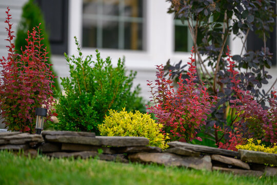 Landscaped Garden Bed with Shrubs and Walkway in Front of a Suburban House