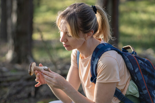 Seasonal food ingredients preparations and hobby, woman forager picking up mushrooms in forest, positive female harvester holding boletus inspecting quality of fungi, mindful outdoor activity.