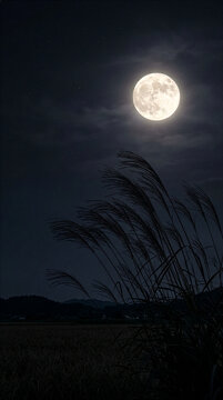 Traditional Japanese full moon and pampas grass for Otsukimi festival background