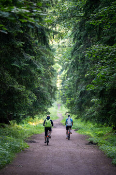 Men riding along dirt country road surrounded by wild forest, people on bikes ride through woodlands, active leisure activity on fresh air, spending time outdoors, couple cycling around countryside.