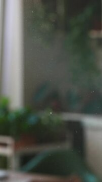Fine dust suspended in the air, illuminated by daylight streaming through window in apartment, selective focus. Cause of allergies. House cleaning. Slow motion. 