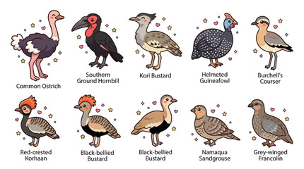 Labeled African bird species educational collection. © rodin