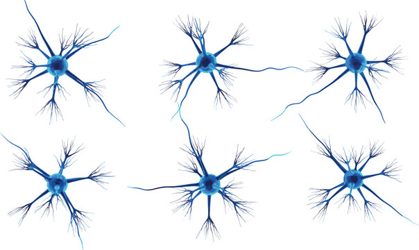 Neuron cell collection featuring realistic blue nerve cells with branching dendrites isolated on white background for neuroscience, biology, medical, and educational design