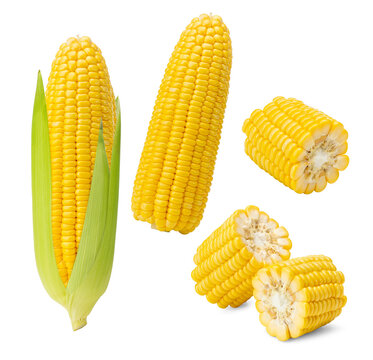 Close-up of Yellow Sweet Corn with Husk and Cut Corn Segments on White Background
