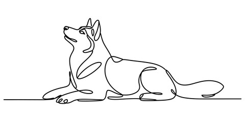Continuous single line drawing of a husky dog lying down on the ground in a minimalist art style Vector, illustration © New Outline