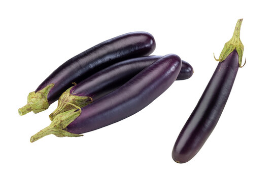 Four Whole Long Purple Eggplants on White Background
