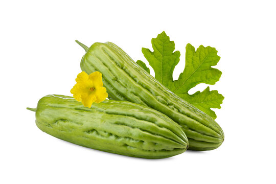 Close-up of Whole Fresh Bitter Melon with Blossom and Leaves on White Background
