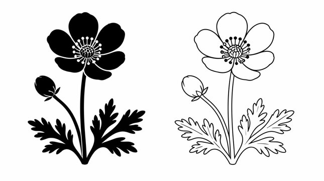 Buttercup flower silhouette and outline icon set