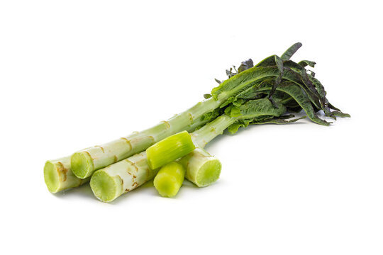 Fresh Stem Lettuce Whole and Cut Segments on White Background
