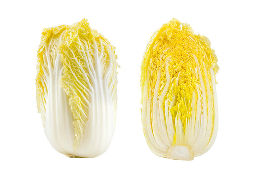 Still Life of Tender Fresh Baby Cabbage