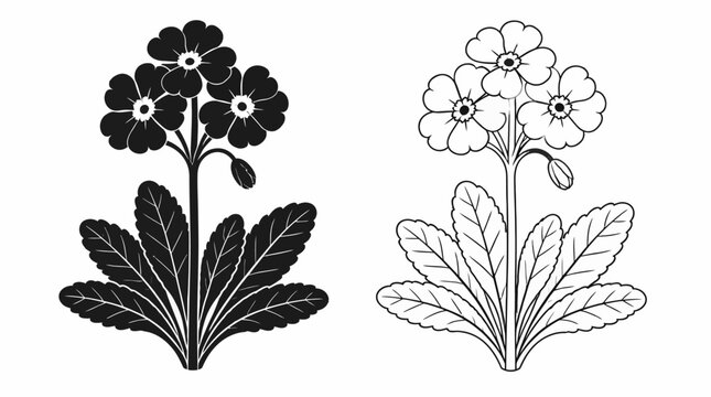 Primrose flower silhouette and line art set, elegant botanical design