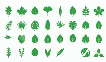 Fototapeta premium Leaf Icon Set Vector Green Flat Nature Plant Botanical Foliage Silhouette Illustration Collection for Eco Design