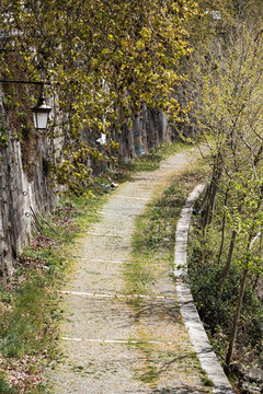 Footpath under plane trees on the Tiber embankment, Rome, Italy