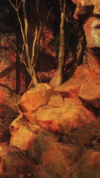 Tall stone wall stands among rocks and trees as shadows play on the surface. Sunlight filters through leaves, creating a warm atmosphere in this natural setting.