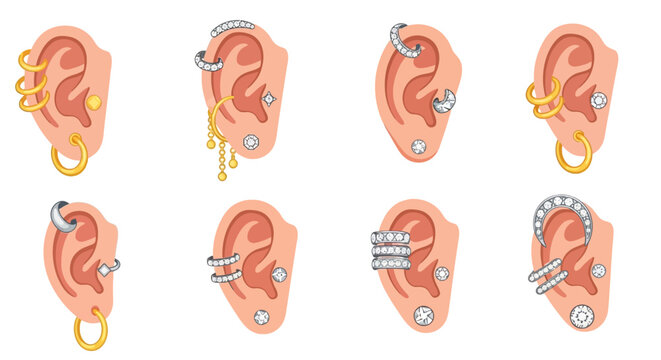 Various ear piercings and earrings on ears.