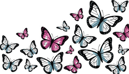 Swarm of flying pink and blue butterflies background banner vector isolated on clean white backdrop © MSTAKLIMA