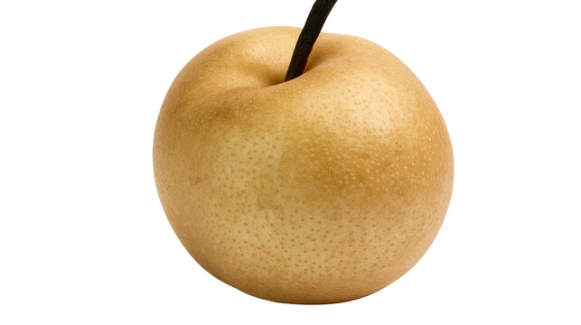 Golden Asian pear with dark stem, isolated on transparent background