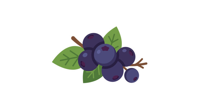 Acai berry fruit collection with green leaves in flat vector illustration style