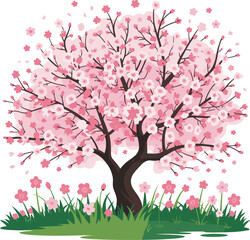 Fototapeta premium Beautiful blooming pink cherry blossom tree with spring flowers and green grass vector on white background.