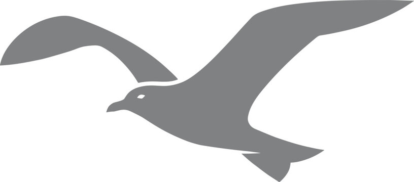 Seagull Soaring Simple Wing Silhouette