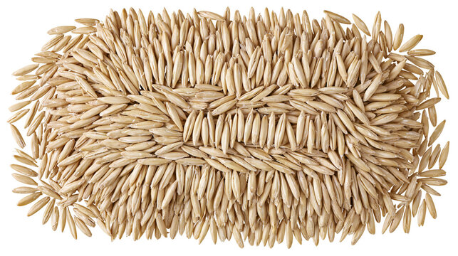 Rectangular arrangement of raw oat grains, isolated on transparent background