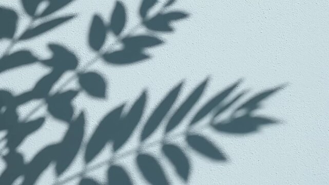Leaf shadows on light blue textured wall.