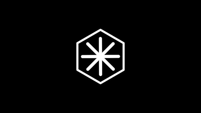 White hexagon outline containing a snowflake or asterisk symbol at its center, representing settings, options or a decorative badge icon with a smooth