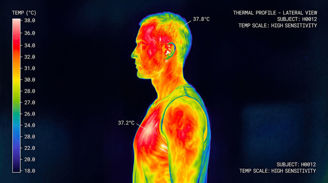 Human profile thermal imaging heat map showing body temperature distribution