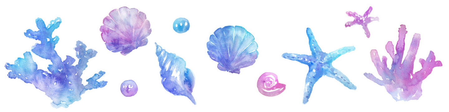 水彩貝殻のイラストセット