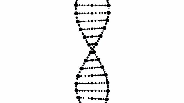 Minimalist black DNA double helix on white background.