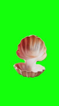 shell open animated on green screen background, vertical video