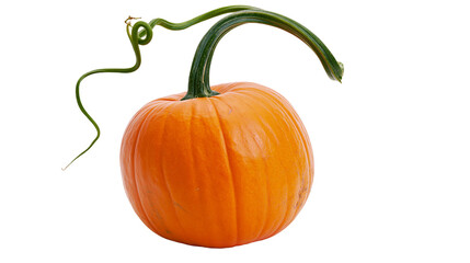 Orange pumpkin with green vine and tendril, isolated on transparent background © Andrej