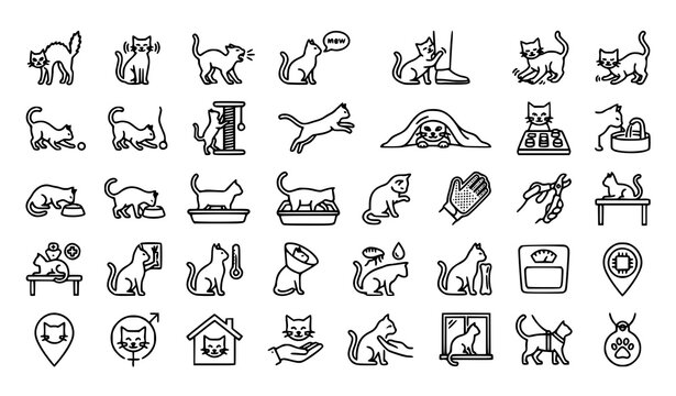 Cat behavior and care outline icons | Feline pet health grooming veterinary editable stroke linear pack on white
