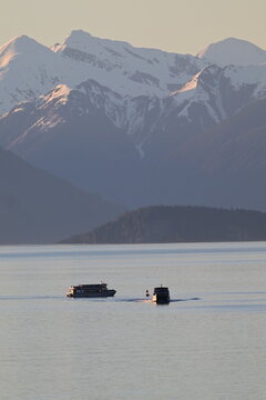 whale watching in the waters off of Hoonah, Alaska on cruise whale watching and sightseeing adventure