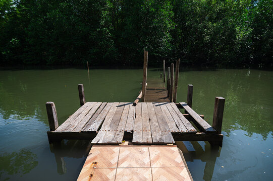 Scenic View of Mangrove Dock Surrounded by Lush Green Forests