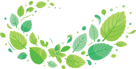 Fresh green mint leaves swirling wave isolated vector illustration frame © Hossain